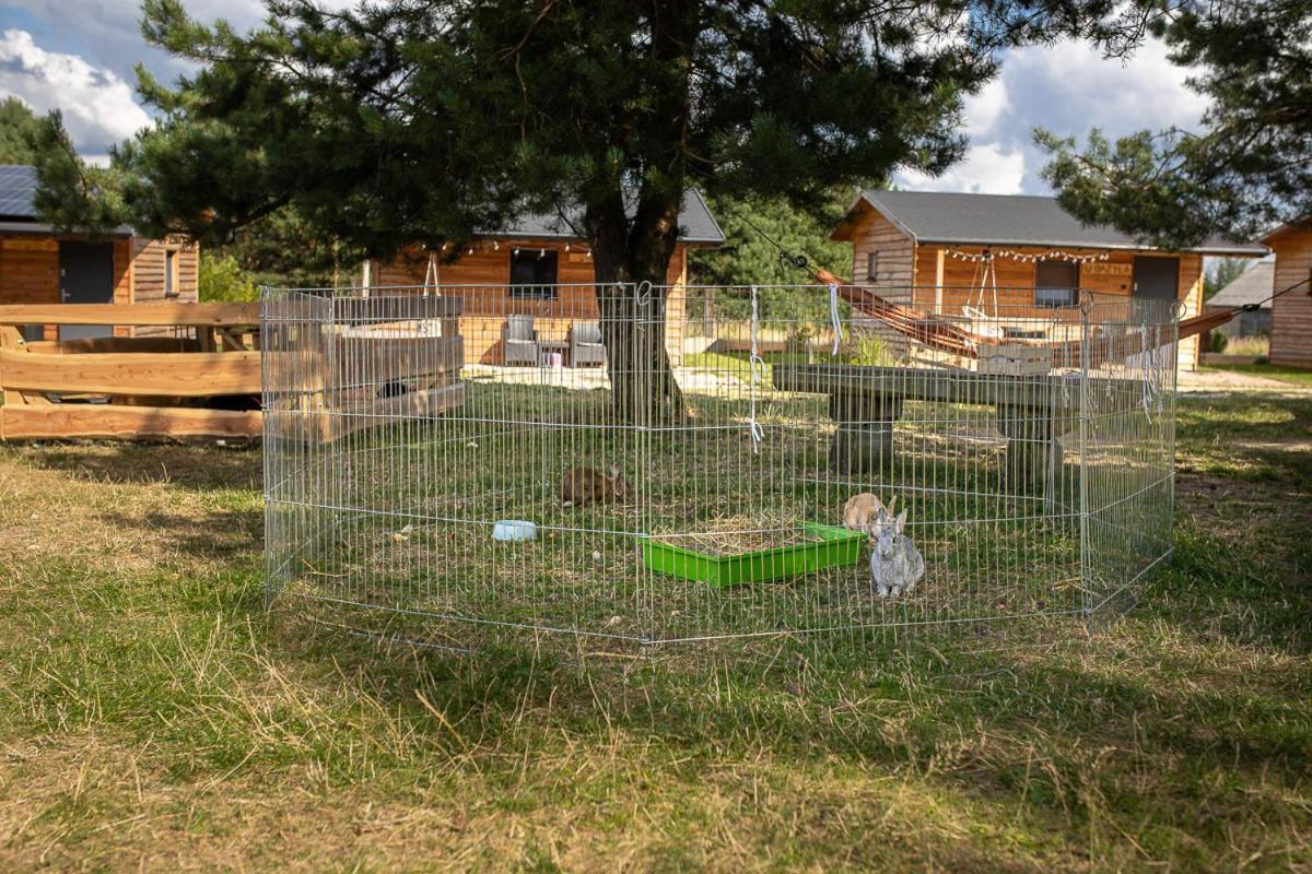 Sokole Ranczo Villa Biskupice Kocurów Exteriör bild